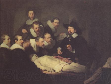 REMBRANDT Harmenszoon van Rijn The anatomy Lesson of Dr Nicolaes tulp (mk33) Germany oil painting art